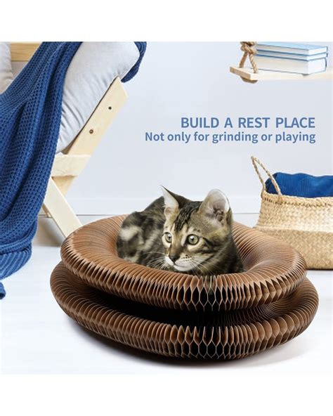 A Magical Bond: Strengthening the Connection Between You and Your Cat with a Magic Organ Cat Scratcher